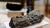 Part of an Ancient Herculaneum Scroll Deciphered by AI 2,000 Years After Eruption of Mount Vesuvius