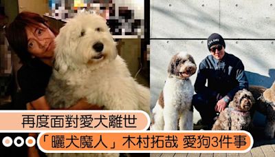 木村拓哉再度面對愛犬離世，回顧男神愛狗3件事：不是在遛狗，就是在遛狗路上