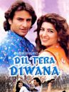 Dil Tera Diwana (1996 film)