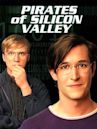 Die Silicon Valley Story