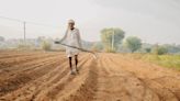 Rural India's economic distress poses post-election challenge - BusinessWorld Online