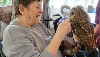 Feathered fun as Wingfield Care Home’s residents meet Wren’s Birds of Prey