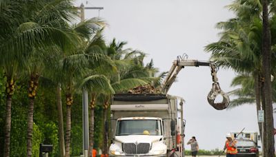 Palm Beach to lift seasonal restrictions on yard trash collection beginning Wednesday