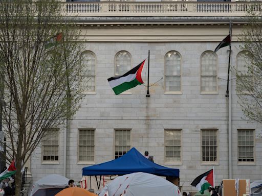 Encampment Protesters Briefly Raise 3 Palestinian Flags Over Harvard Yard | News | The Harvard Crimson