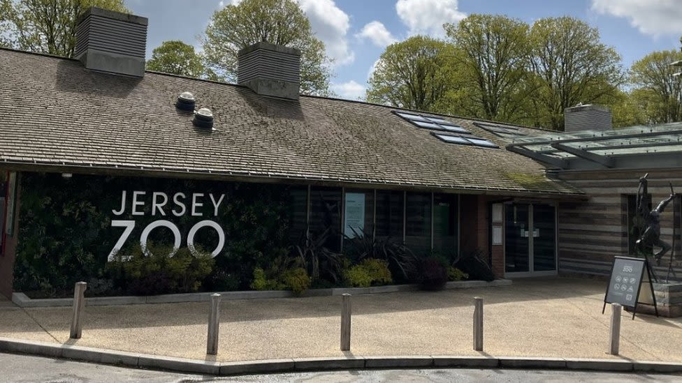 Concerns raised about the future of Jersey Zoo