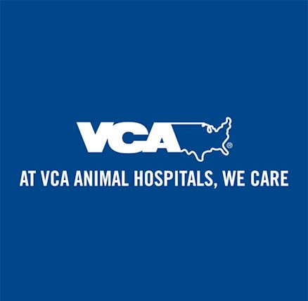 vca-palmetto-animal-hospital-myrtle-beach- - Yahoo Local Search Results