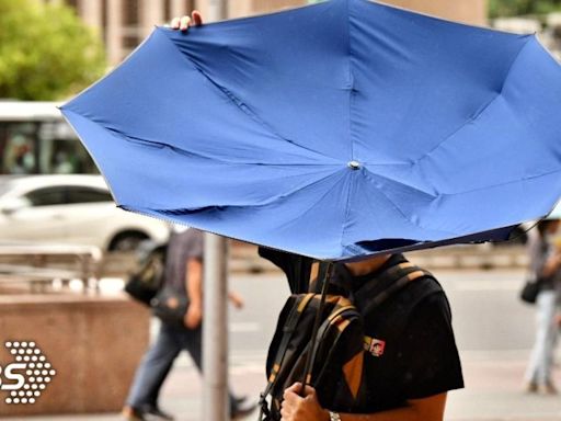 7月迎颱風季！氣象署估「接近台灣數量」曝 1現象夏季更熱
