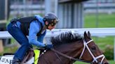 High Marks for Fierceness in Final Kentucky Derby Work