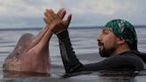 Omacha: la fascinante historia del "hombre delfín" colombiano nombrado Explorador del Año de National Geographic