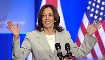 Dems rally behind Harris with some exceptions