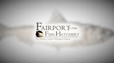 Fairport Fish Hatchery celebrates Earth Day