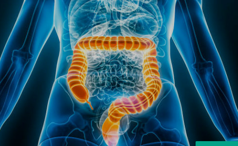 Major Cause of IBD Discovered | Newswise