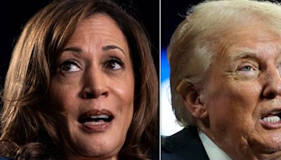 Critics Flag 1 Huge Flaw In Trump’s Claim About Kamala Harris And Jewish People