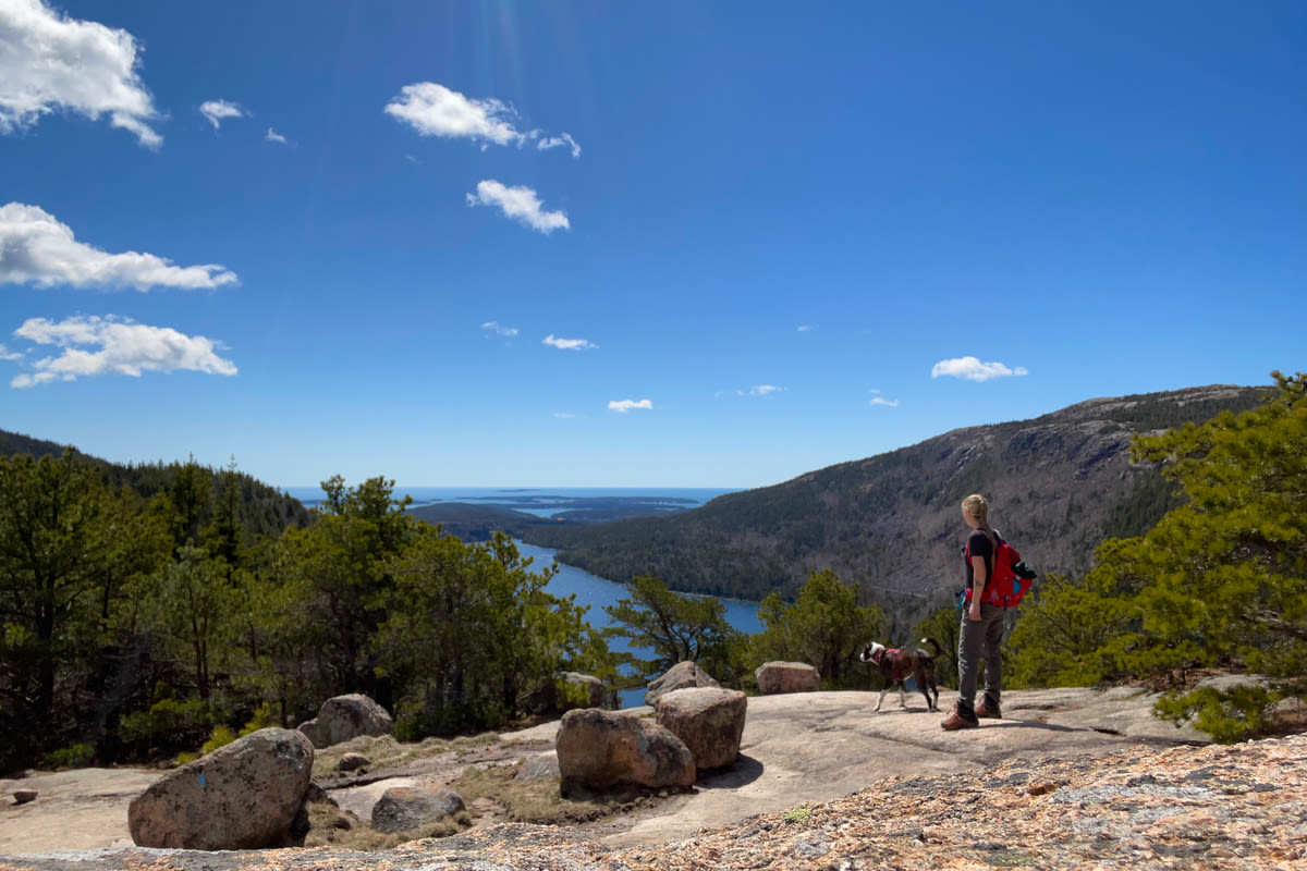 5 fascinating things you’ll see in Acadia National Park