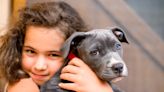 Here Are the Perfect Blue Dog Names—and Some for Gray, Silver, and Merle Pups, Too