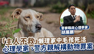 「主人不救」懶理家中毛孩死活 心理學家、警方親解構動物罪案