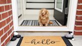 Trainer Shows Effective Way To Teach Dogs Manners at the Door