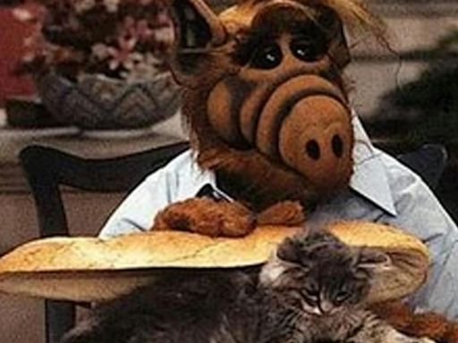 'ALF eating a cat sandwich' memes surge following Trump's 'eating pets' claim