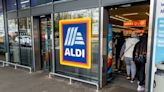 Aldi fans are scrambling to get stunning solar light ornament for their gardens