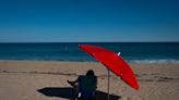 The poor timing of Florida's annual invasions of snowbirds and seaweed