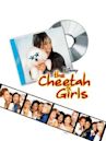 Una canzone per le Cheetah Girls