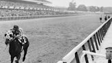 Maritime Traveler had some impossible horseshoes to fill as son of Secretariat | Whitley