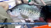 Jamestown Reservoir remains top crappie fishery in ND with good numbers in annual survey