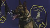 Charleston Police Department introduces new K-9 named after former police chief