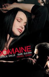 Domain (2009 film)