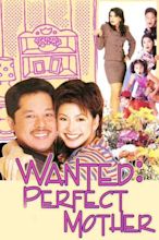 ‎Wanted Perfect Mother (1996) directed by Ike Jarlego Jr. • Reviews ...