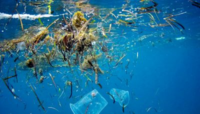 Mais de 5,5 milhões de toneladas de plástico entraram nos oceanos este ano