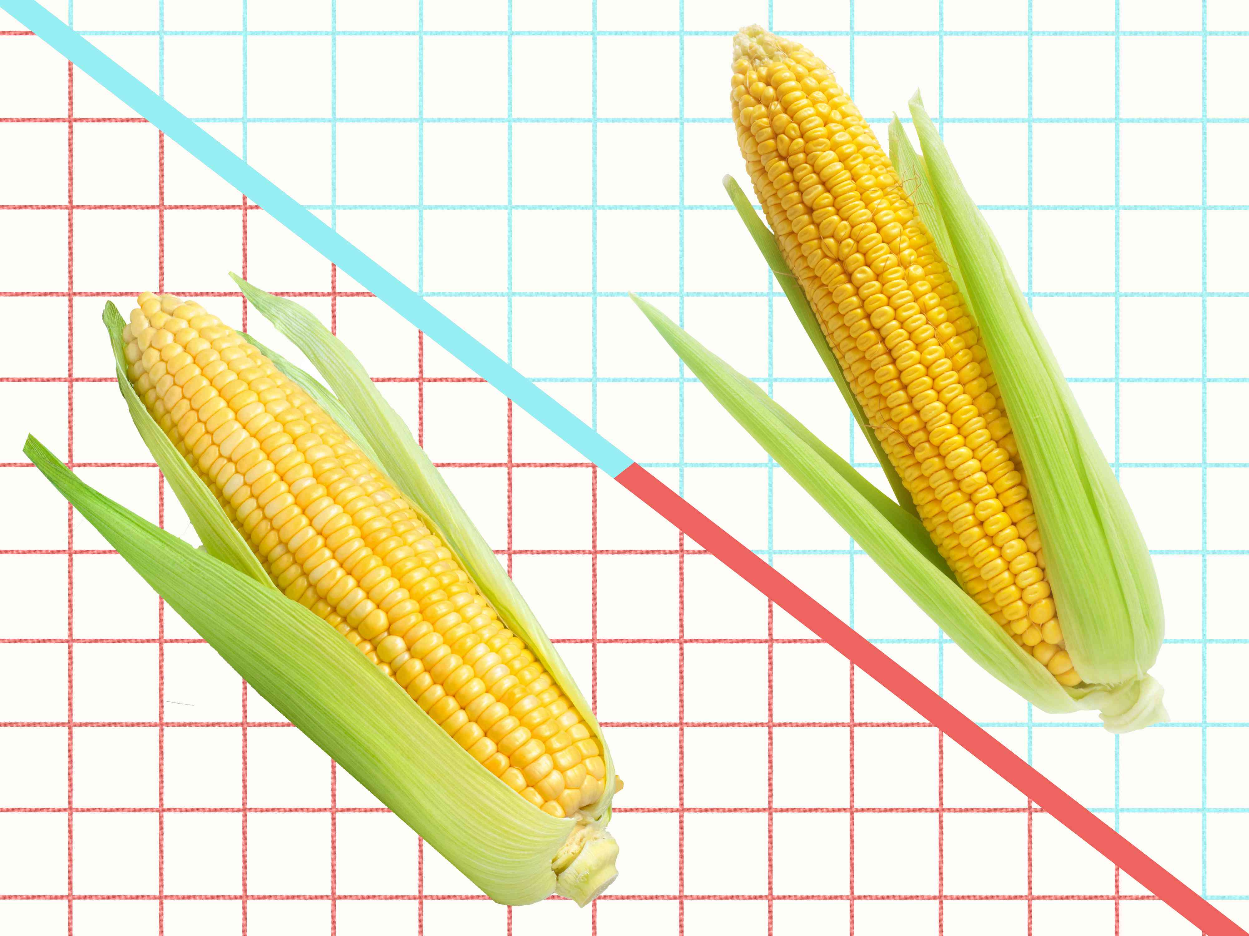 The Difference Between Field Corn and Sweet Corn, According to a Chef and Corn Expert