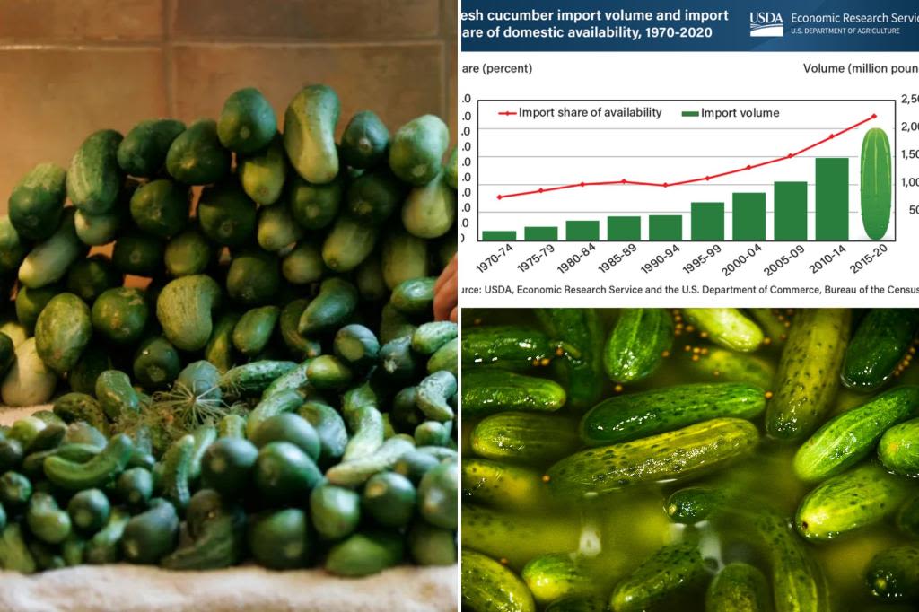 National pickle shortage tied to extreme weather in Mexico