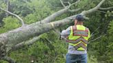 PHOTOS: Severe storms bring flooding, downed power lines to East Texas