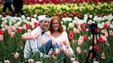 Amid record-breaking warmth, will Holland's famous flowers wait for Tulip Time?