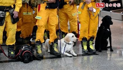 搜救犬集合！消防署人道救援包機演練 美日觀摩給建議 - 自由電子報影音頻道