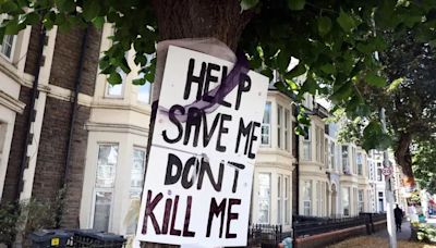 Huge row on street where people say trees are wrecking their homes but council plans to chop them down are met with fury