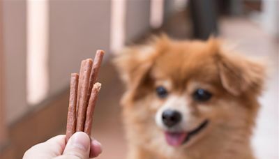 寵物零食百百種 有什麼注意事項該小心？