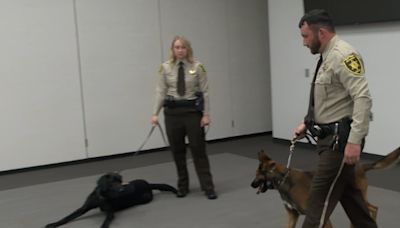 Jefferson County Sheriff’s Office K-9 Unit receives new certifications