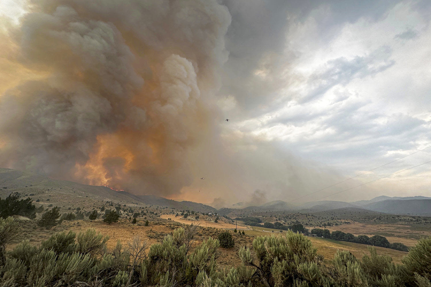 Pilot of air tanker that went missing fighting Oregon wildfire is found dead