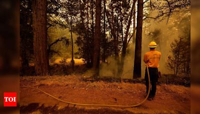Devastating wildfires in Northern California: Why West is burning and what we can do - Times of India