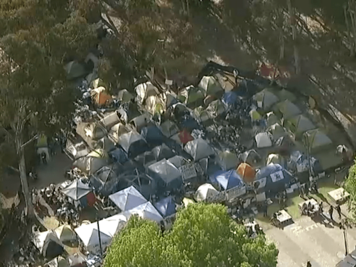 Police start dismantling UCSD Pro-Palestinian encampment and arresting demonstrators