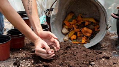 ¿Ha escuchado sobre los biodigestores? Esta información le interesará