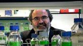 Lluís Montoliu, científico del CSIC: “Los primeros que estaríamos encantados de dejar de usar animales somos los investigadores”