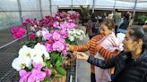 La Nación / Día de la Madre: quinta edición de la Flori Feria sigue este domingo