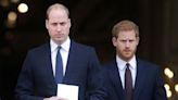 Prince Harry and William’s Relationship HITS Rock Bottom, Declares Expert