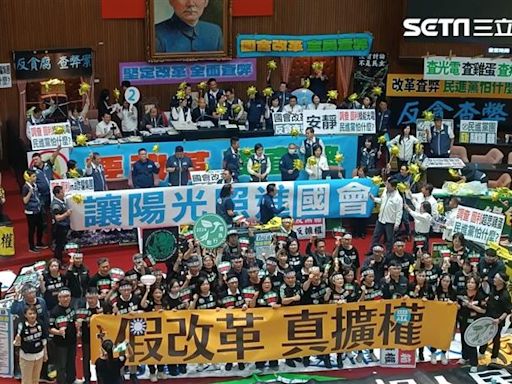 立法院職權修法 學者：國會進入對決式民主