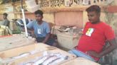 North Bengal rain heralds glad tidings on hilsa