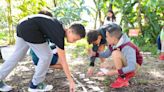 ‘Food Forests’ are reversing the learning gaps in math in Miami-Dade schools | Opinion