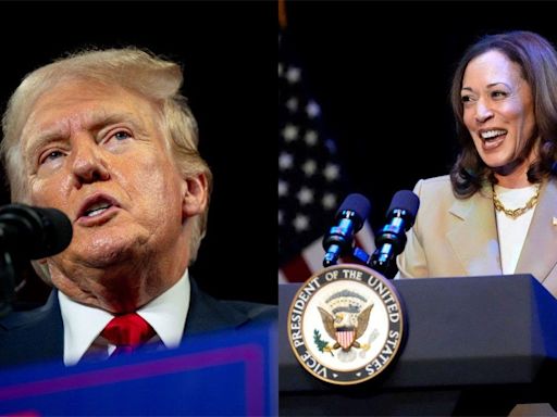 Trump and Harris at odds over presidential debate